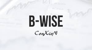 B-wise logo